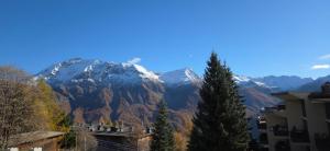 Très joli studio au calme et bien situé