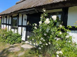Timber Cottage with Rustic Charm