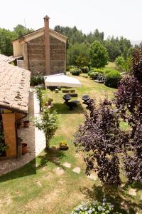 La Rosa Nel Bicchiere