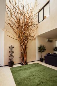 Casa Yaaxché Oasis Maya