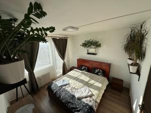 Private rooms, stunning city views, top-floor with balcony, bathtub, Internet, coffee