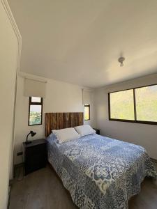 VALLE DEL ELQUI,Diaguitas, Vicuña