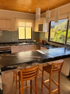 VALLE DEL ELQUI,Diaguitas, Vicuña