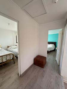 VALLE DEL ELQUI,Diaguitas, Vicuña