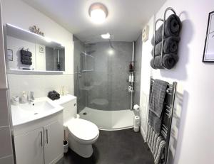 Modern 2 bedroom Flat in Montrose