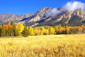 Atelier Alpine - Modern 2BD Condo wBaldy Views