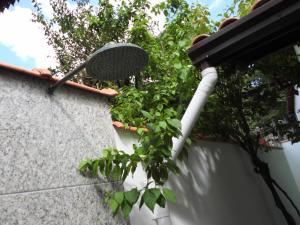 Casa da Pitanga Lumiar