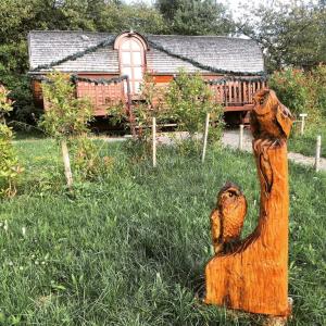 Maisons de vacances Le Chalet du Chemin et sa Roulotte : photos des chambres