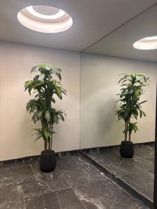 Loft Exclusivo - Centro - Cerca de todo!