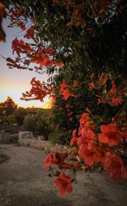 Masseria Latorre Locorotondo