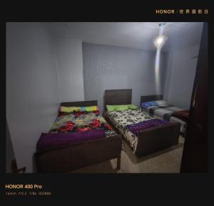 قرية النورس