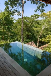 Luxury Wellness Retreat - Infinity Pool