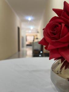 Para Famílias Cristãs - Sítio Confortável e lindo