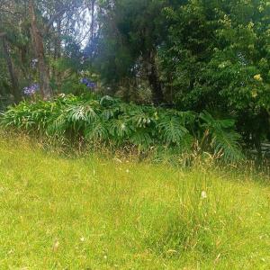 Casa Finca Cerca a Medellin y Aeropuerto JMC