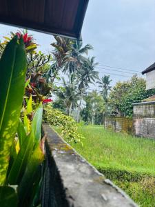 Nia ubud villa