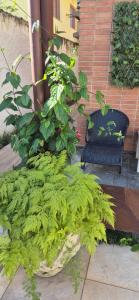 Seu cantinho a dois quarteirões da Praia