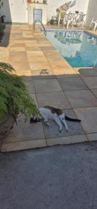 Seu cantinho a dois quarteirões da Praia