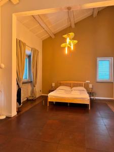 Casa Botanica Boho Chic