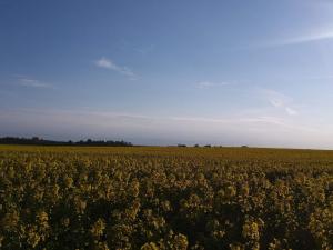 6 person holiday home in Jægerspris-By Traum