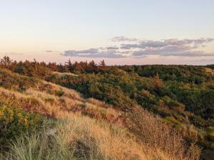 Luxury Retreat in Vejers - By Traum Ferienwohnungen
