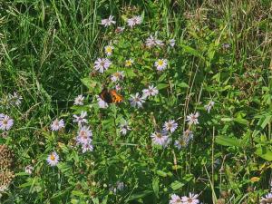Tranquil Retreat in Toftum - By Traum Ferienwohnungen