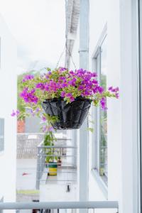 Loft Apartamento en el Corazon de La Vega