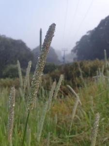 Fresh and funky apartment in Falls Creek