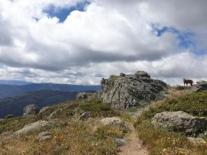 Fresh and funky apartment in Falls Creek