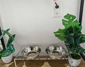 The Dazzling Two-Bedroom Two-Bath Suite in Boston