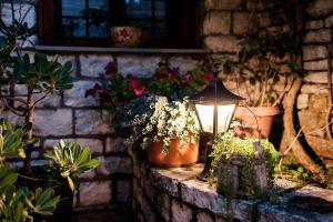 Vikos Hotel Zagori Greece