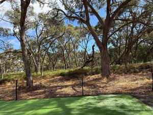 Bush Hideaway X by Tiny Away