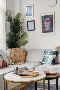 What a gem City views and a rooftop pool await