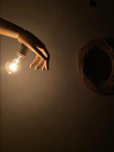 Botanique Concept House Guanajuato Centro