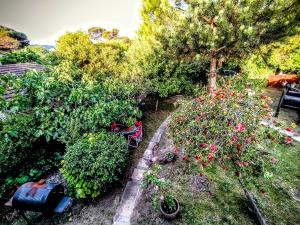 Lala Gesell Center 1