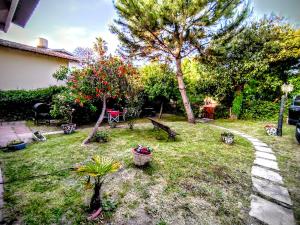 Lala Gesell Center 1