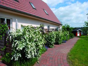 Gemütliches Haus mit WLAN in Buchholz am Müritzsee