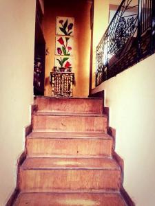 Designer luxury flat with greenry best location in south Delhi