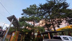 Hostal El Pital Lecho de Flores