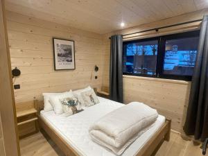 Chalet de standing 12 personnes à Nancroix, avec WIFI et parking privé - FR-1-411-1005