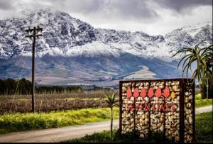 Seven Oaks Vineyard Cottages