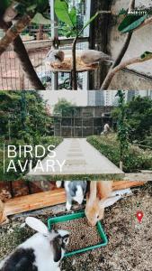 2BR Cozy City View CBD Sudirman Park Apartment, Positano House Design