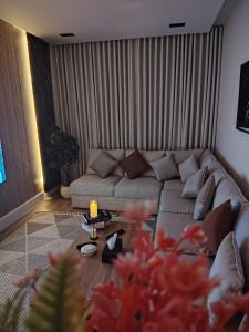 شقه بغرفتين نوم تصميم عصري