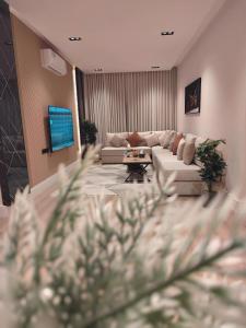 شقه بغرفتين نوم تصميم عصري