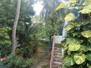 Green Woods Beach Resort