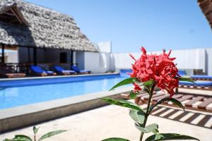 Nungwi Heritage Resort