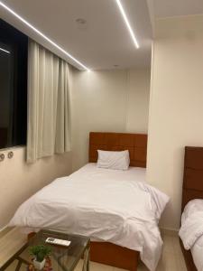 Experience Pyramids VIEW