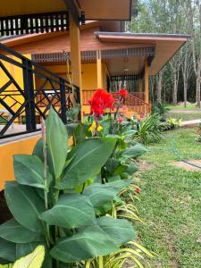 SeaMountain Kohyao Noi