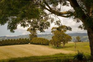 Lazy Daisy Farm by Tiny Away