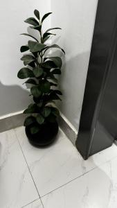 New and elegant apartment in Abha, Hajla neighborhood near Abha Airport