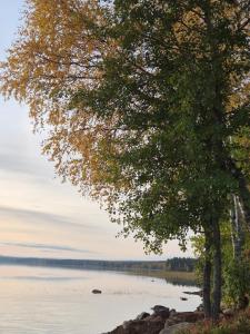 Lakeside, picture window, sauna, WiFi,Silent Shine